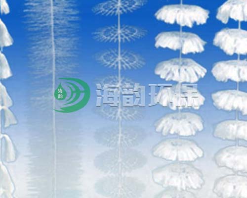�M��������
